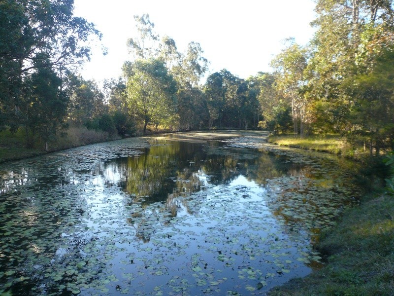 502 Maudsland Road, Maudsland QLD 4210