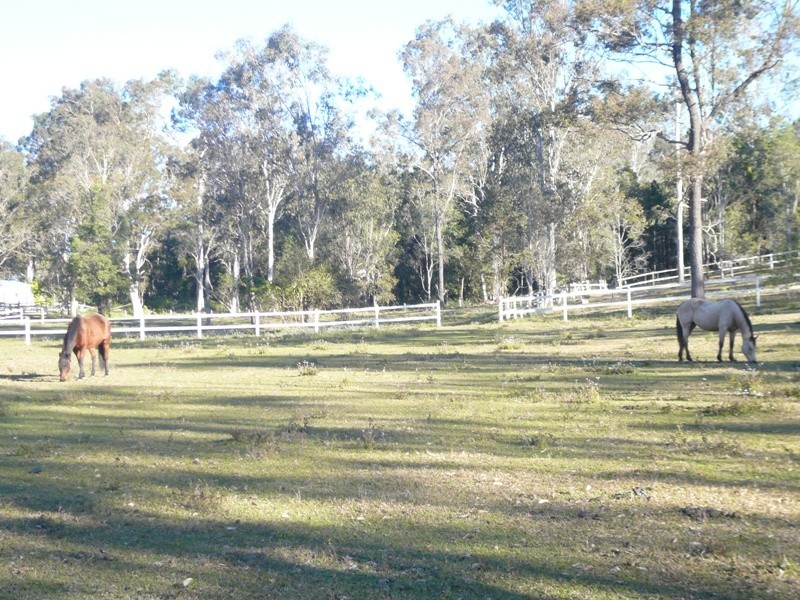 502 Maudsland Road, Maudsland QLD 4210