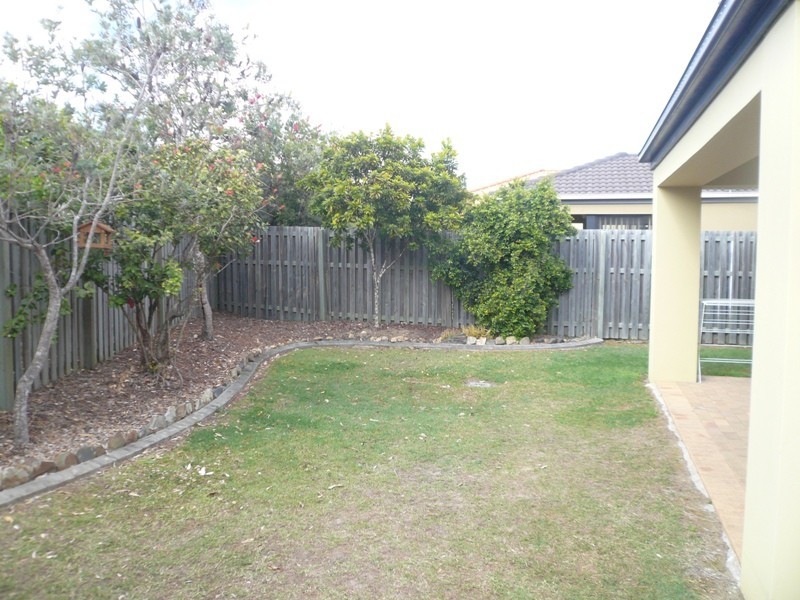 18 Blackwattle CCourt, Arundel QLD 4214