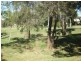 18 Herington Close, Arundel QLD 4214