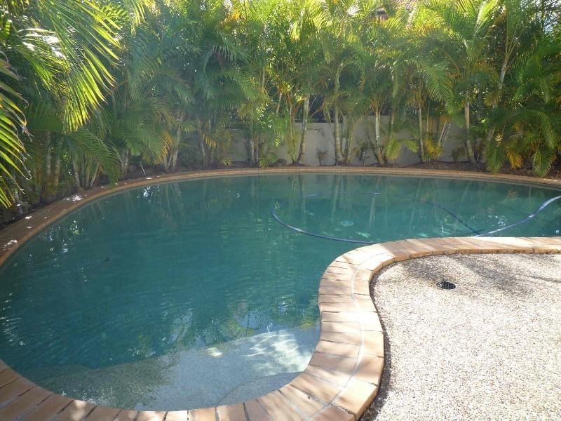 10 Orpington Court, Arundel QLD 4214