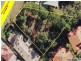 485A Pine Ridge Road, Runaway Bay QLD 4216