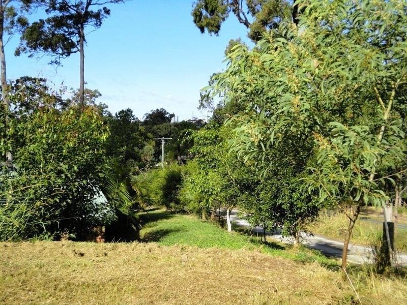 11 Brushwood Drive, Parkwood QLD 4214