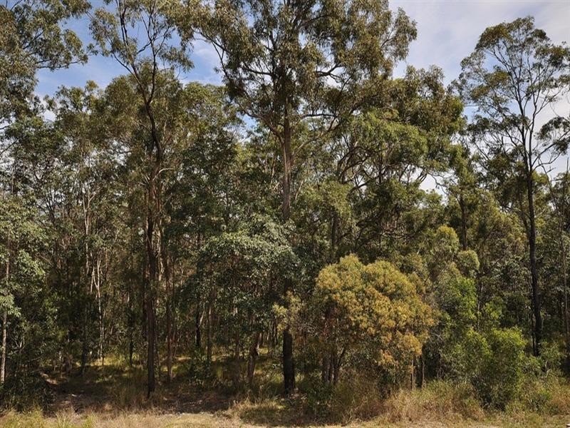 14 Leeds Close, Arundel QLD 4214