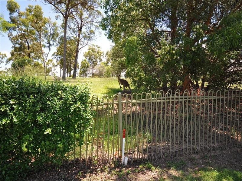 31 Canada Place, Arundel QLD 4214