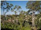33 Midway Terrace, Pacific Pines QLD 4211