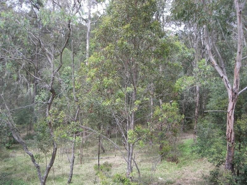 2/51 Canada Place, Arundel QLD 4214