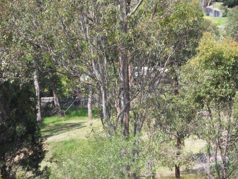 56 Uplands Drive, Parkwood QLD 4214