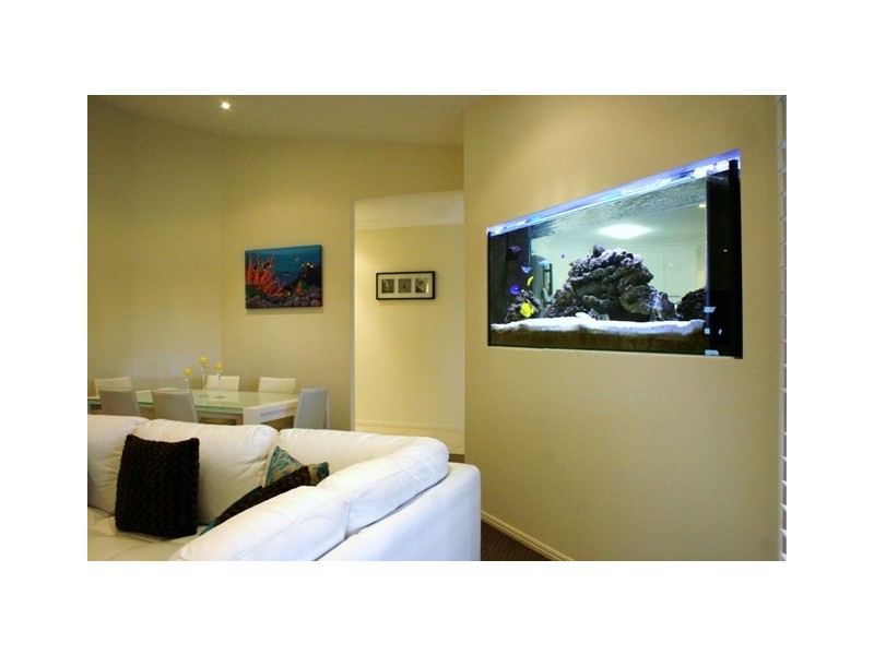 29 Forest Oak Drive, Upper Coomera QLD 4209