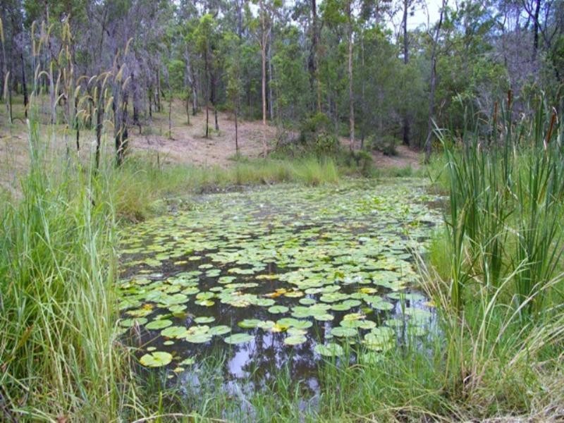 29 Zimmerman Court, Gilston QLD 4211