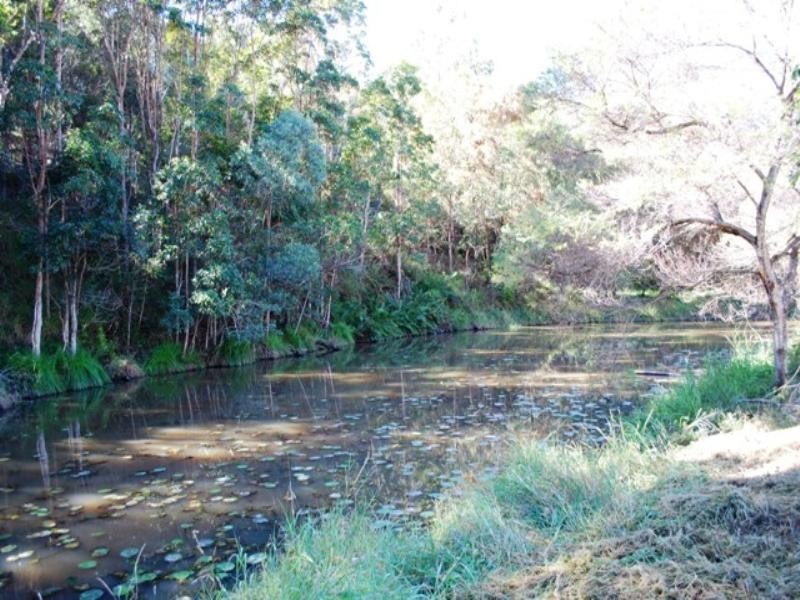 123 Arunta Drive, Mount Nathan QLD 4211