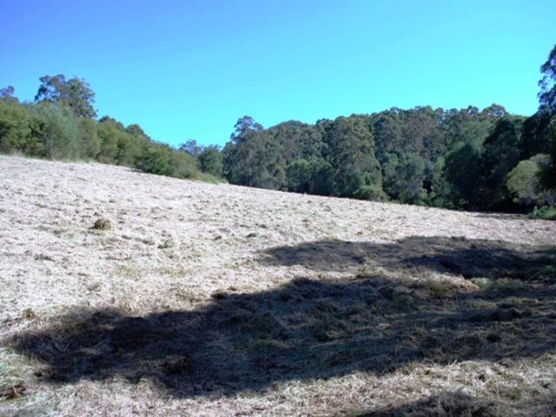 123 Arunta Drive, Mount Nathan QLD 4211