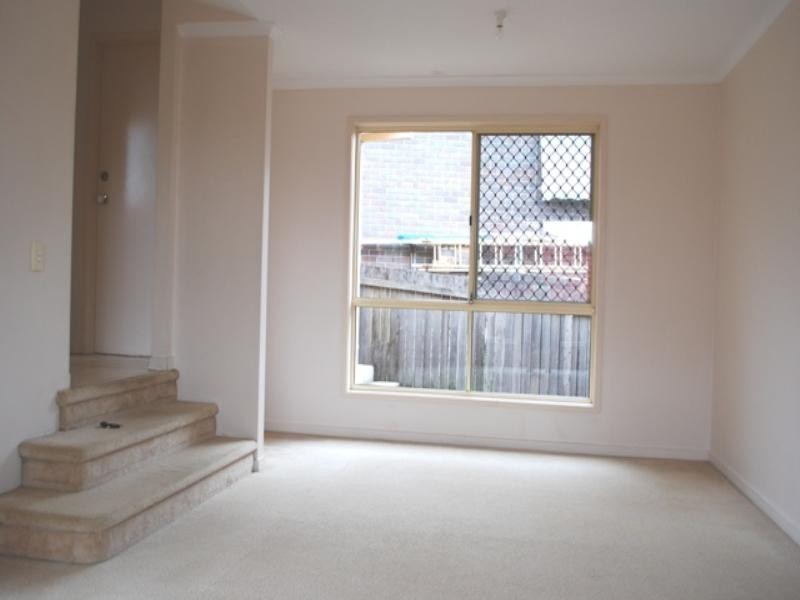 3 Forestwood Court, Nerang QLD 4211