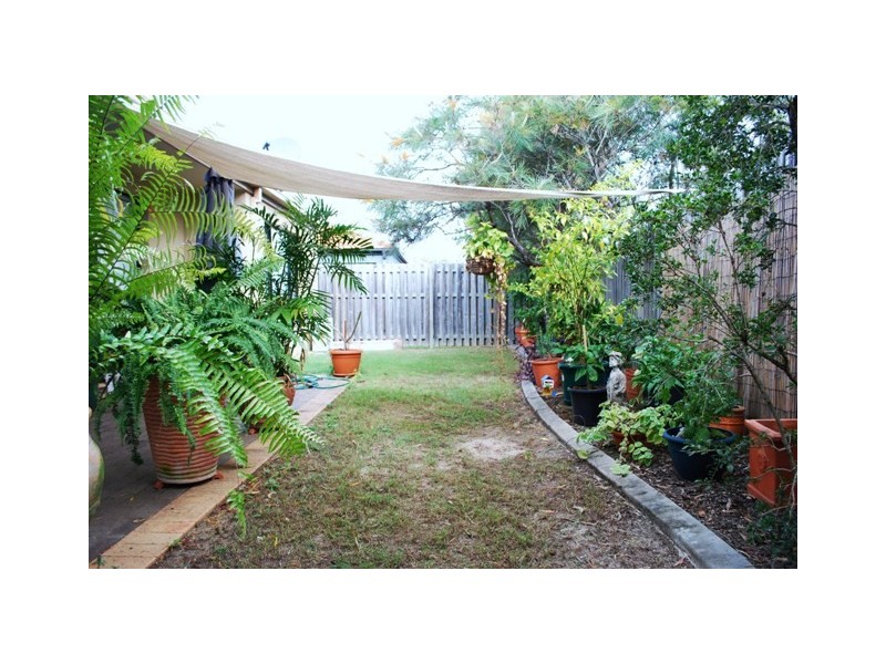 16 Gentian Drive, Arundel QLD 4214