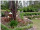 Nerang QLD 4211