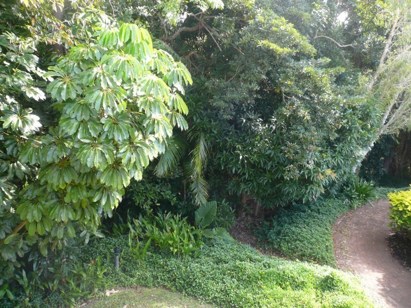 Trinity Beach QLD 4879