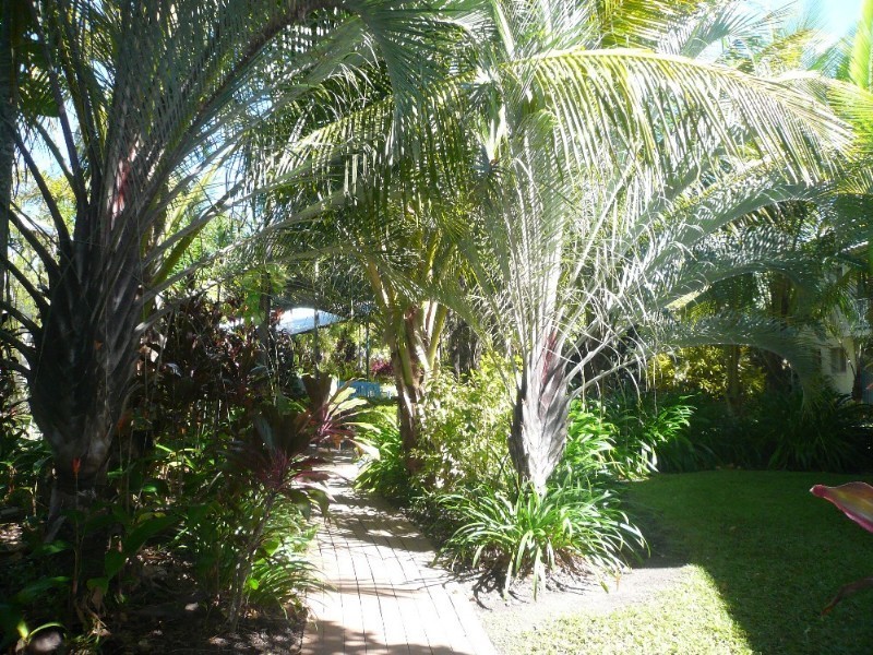 Trinity Beach QLD 4879