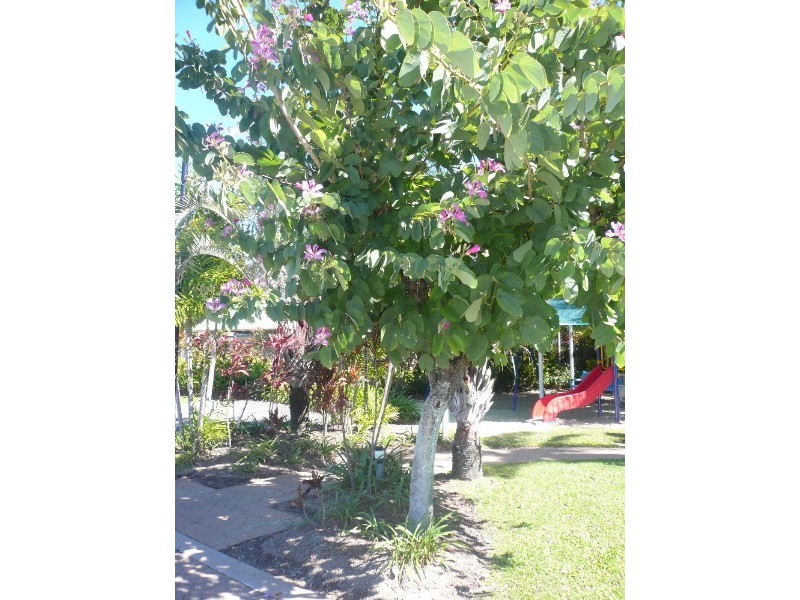 Trinity Beach QLD 4879