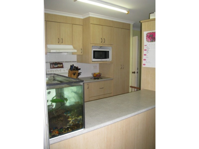 10 Tudor Close, Trinity Park QLD 4879