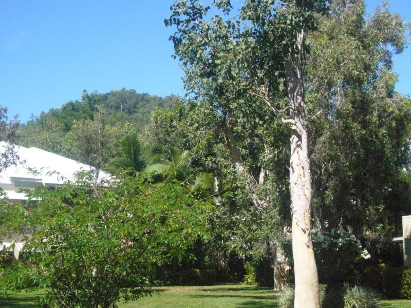 Trinity Beach QLD 4879