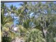 Palm Cove QLD 4879