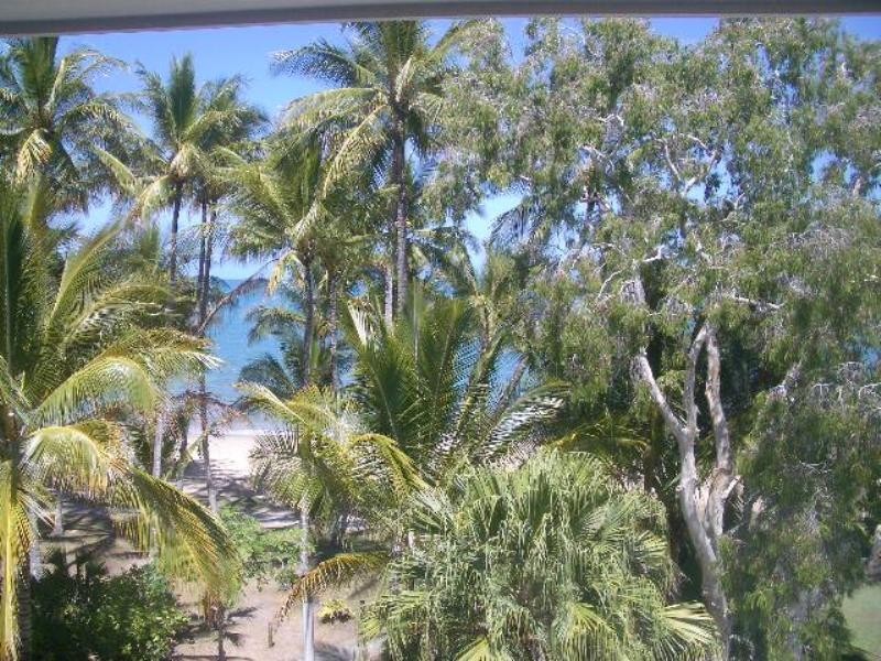 Palm Cove QLD 4879