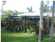 3 Periwinkle Street, Trinity Beach QLD 4879