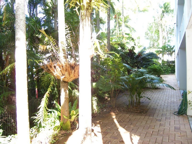 Clifton Beach QLD 4879