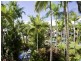 Trinity Beach QLD 4879