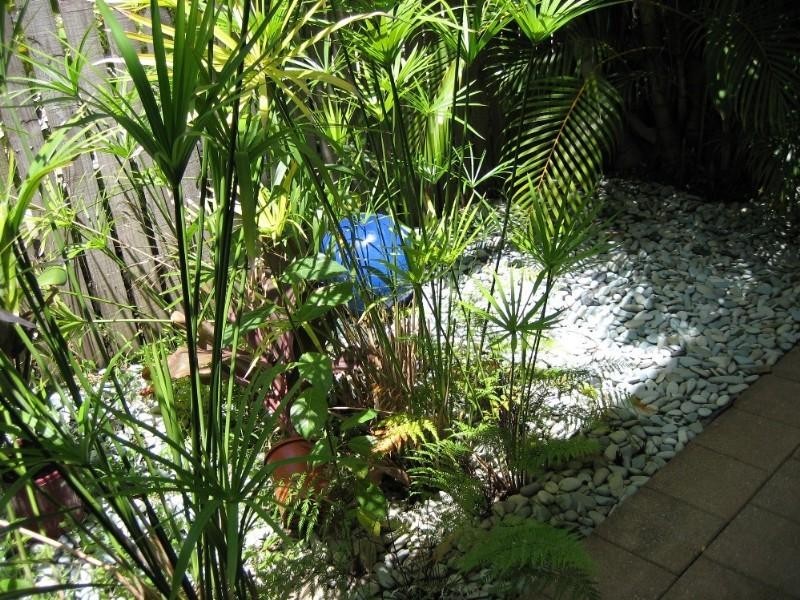 2/42 Trinity Beach Road, Trinity Beach QLD 4879