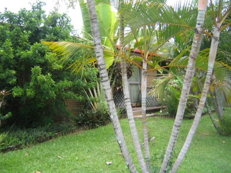 57 Madang Street, Trinity Beach QLD 4879