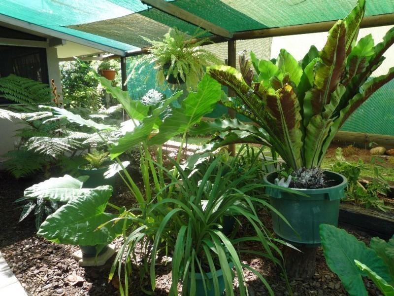 Holloways Beach QLD 4878