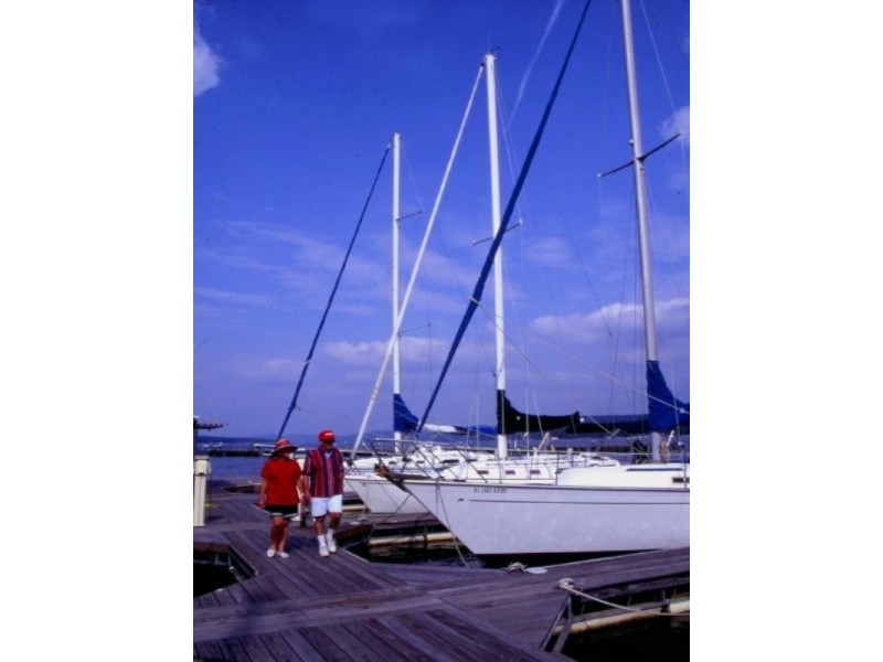 Trinity Park QLD 4879