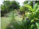Kewarra Beach QLD 4879