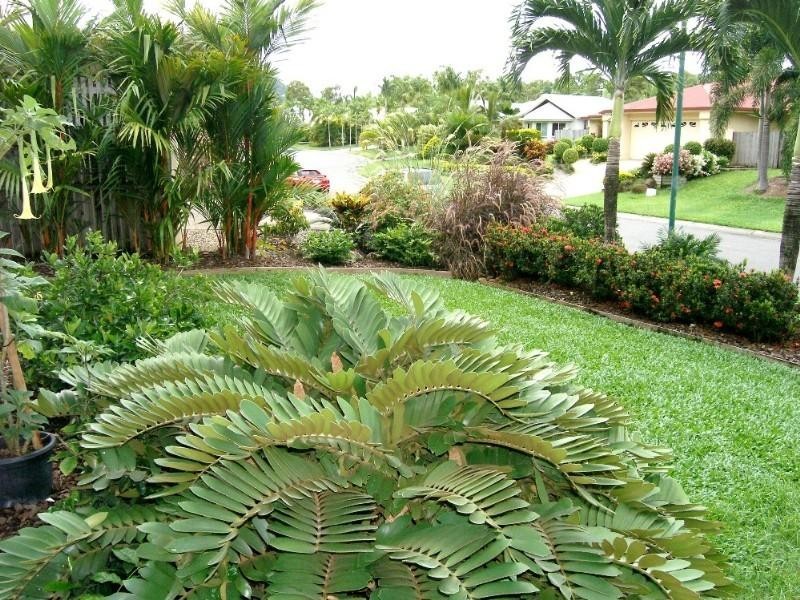 Clifton Beach QLD 4879