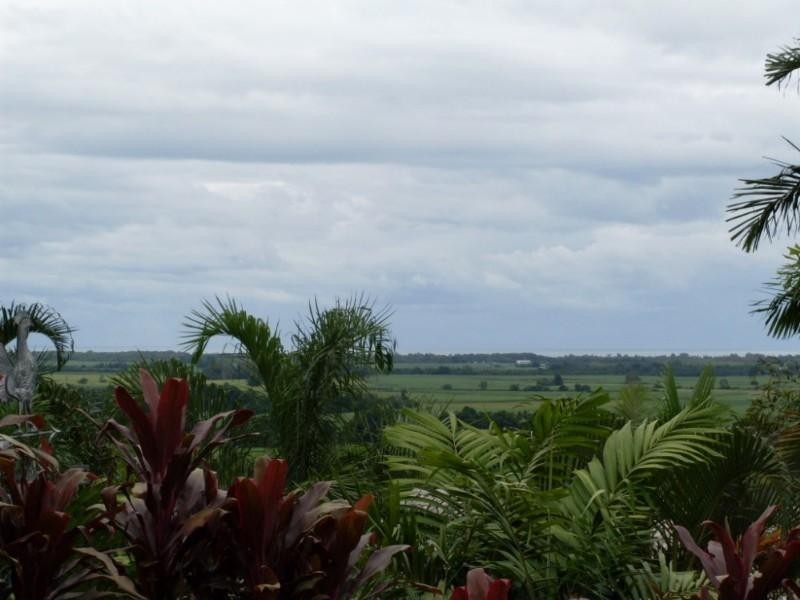 10 Alstonia Close, Redlynch QLD 4870