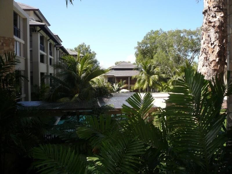 Palm Cove QLD 4879