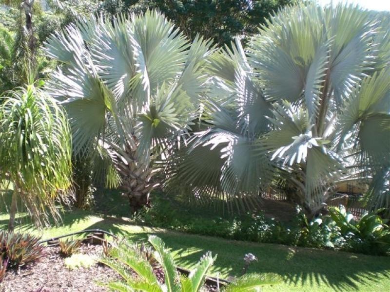 32 Jarda Street, Smithfield QLD 4878