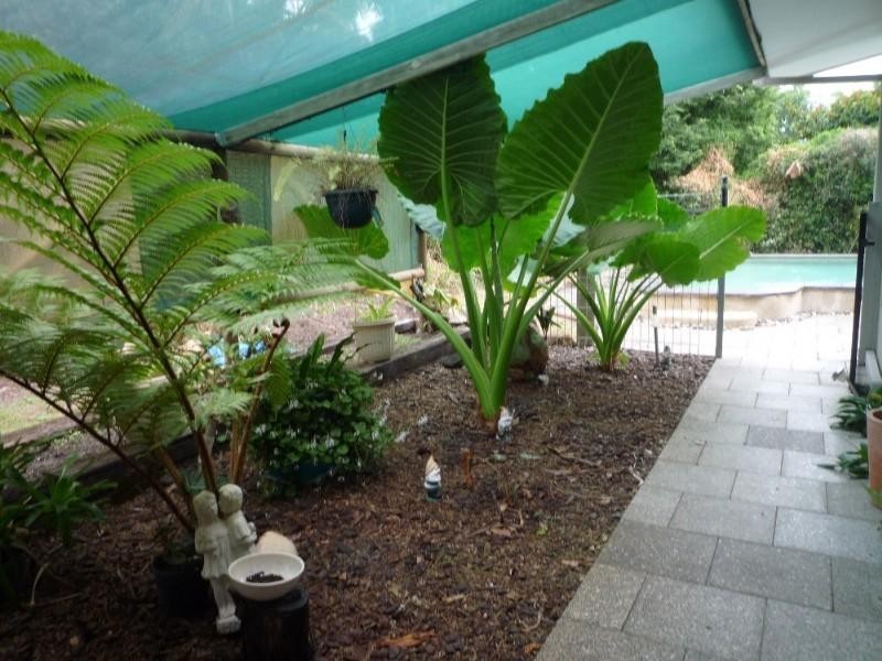 Holloways Beach QLD 4878