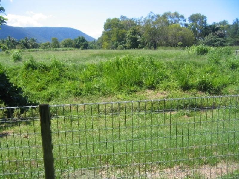 51 Periwinkle Avenue, Trinity Beach QLD 4879