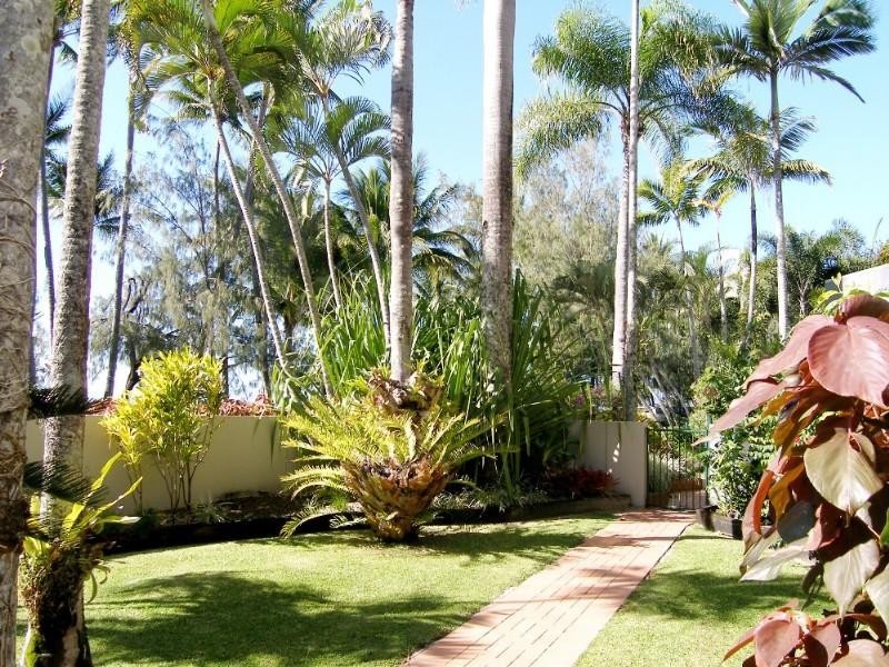 Palm Cove QLD 4879
