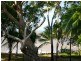 Clifton Beach QLD 4879