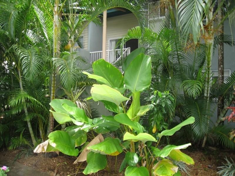 Trinity Beach QLD 4879