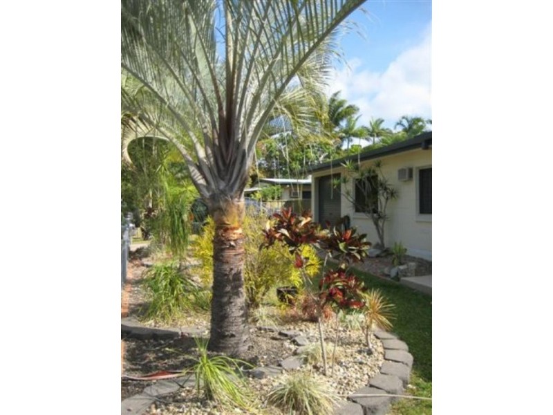 Trinity Beach QLD 4879