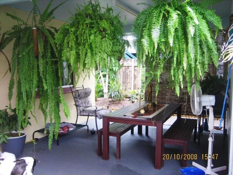 112b Wistaria Street, Holloways Beach QLD 4878