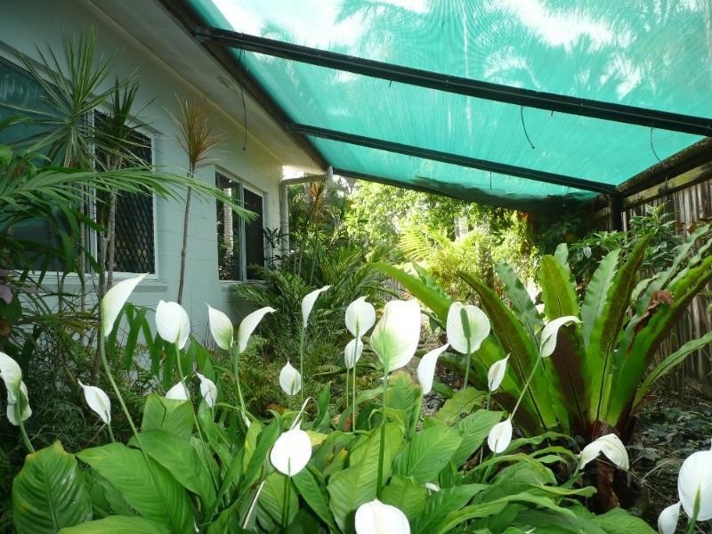 84 Gannet Street, Kewarra Beach QLD 4879