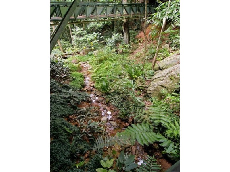 7 Jagera Close, Kamerunga QLD 4870