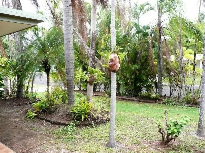 8 Kitava Street, Trinity Beach QLD 4879