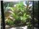 Trinity Beach QLD 4879