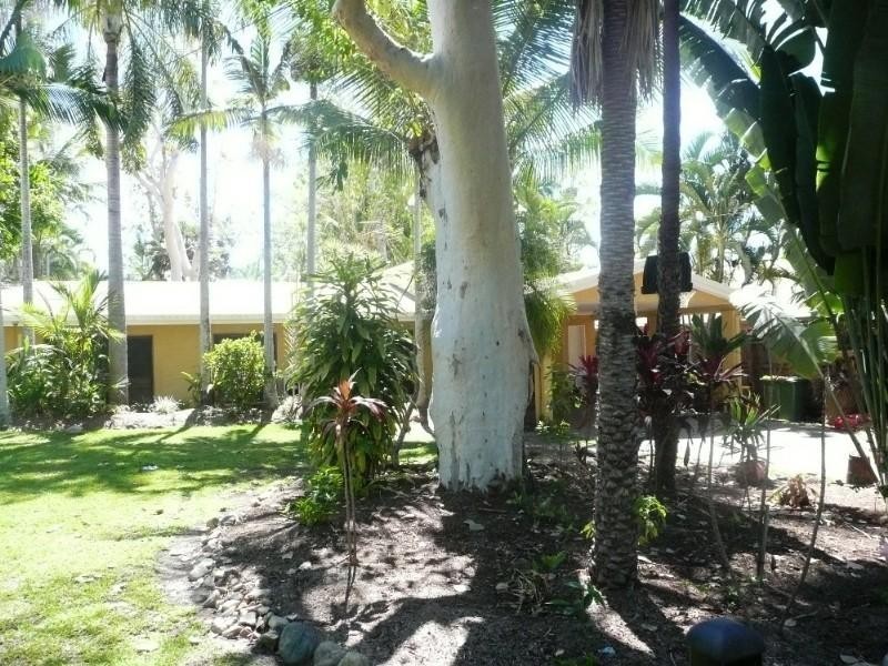 47 Jamieson Street, Trinity Beach QLD 4879